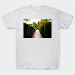 Avenue of Dreams 2 T-Shirt